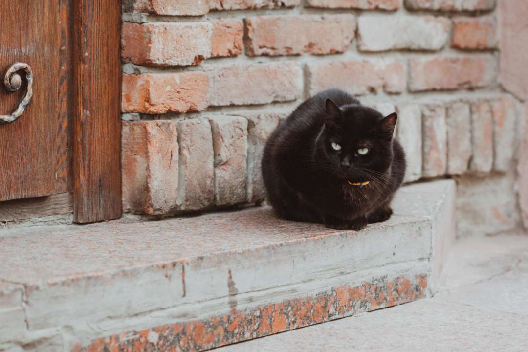 прикмети