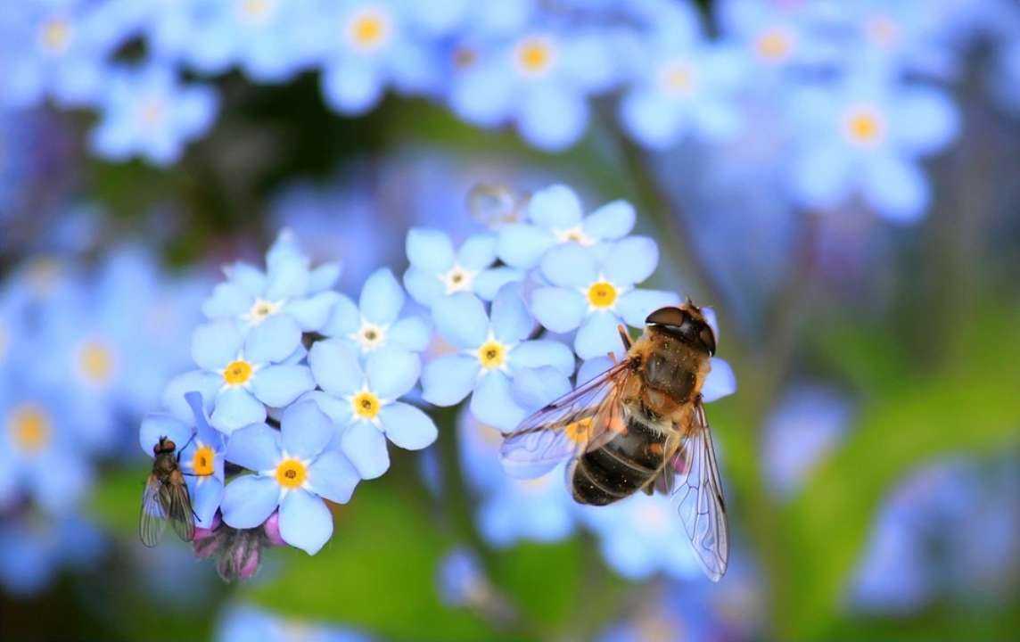 28 квітня: прикмети та заборони дня