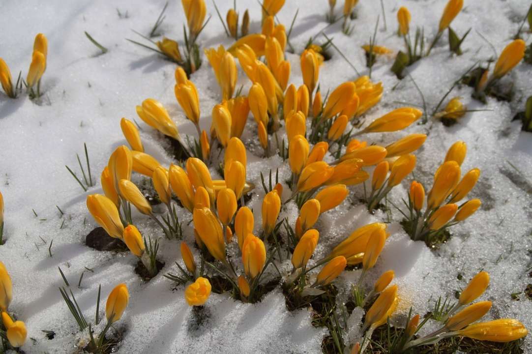 Прогноз погоди на 9 березня / Фото: Pixabay Весна вступає у свої права: прогноз погоди на 9 березня