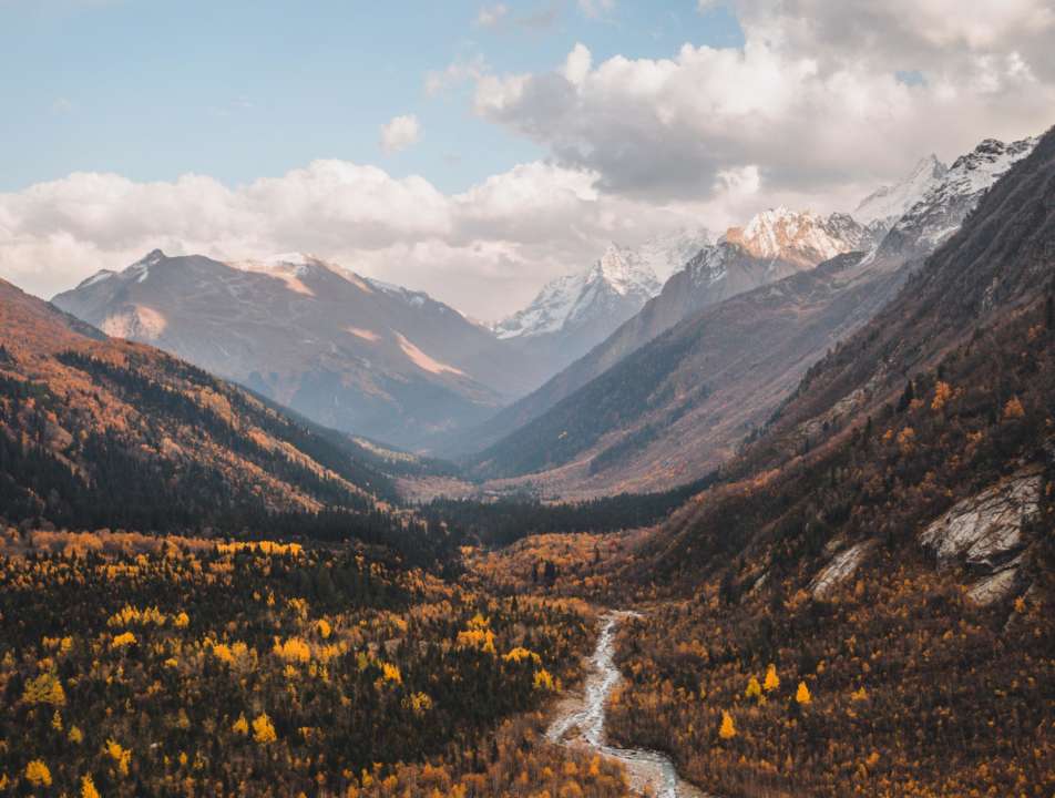 9 ноября - праздники, народные приметы и запреты/Фото: Pexels Природа