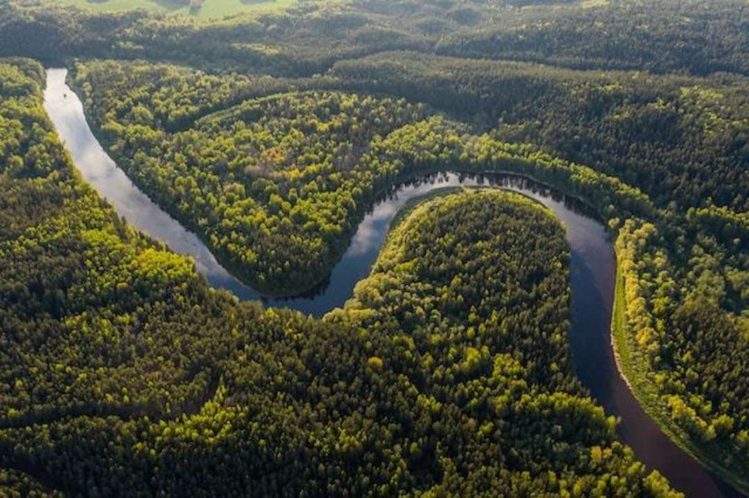 Изгибы реки Амазонки