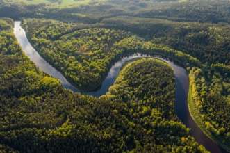 У лісах Амазонки виявили гігантське скупчення стародавніх міст/Фото: Ivars Utināns/Unsplash Вигини річки Амазонки