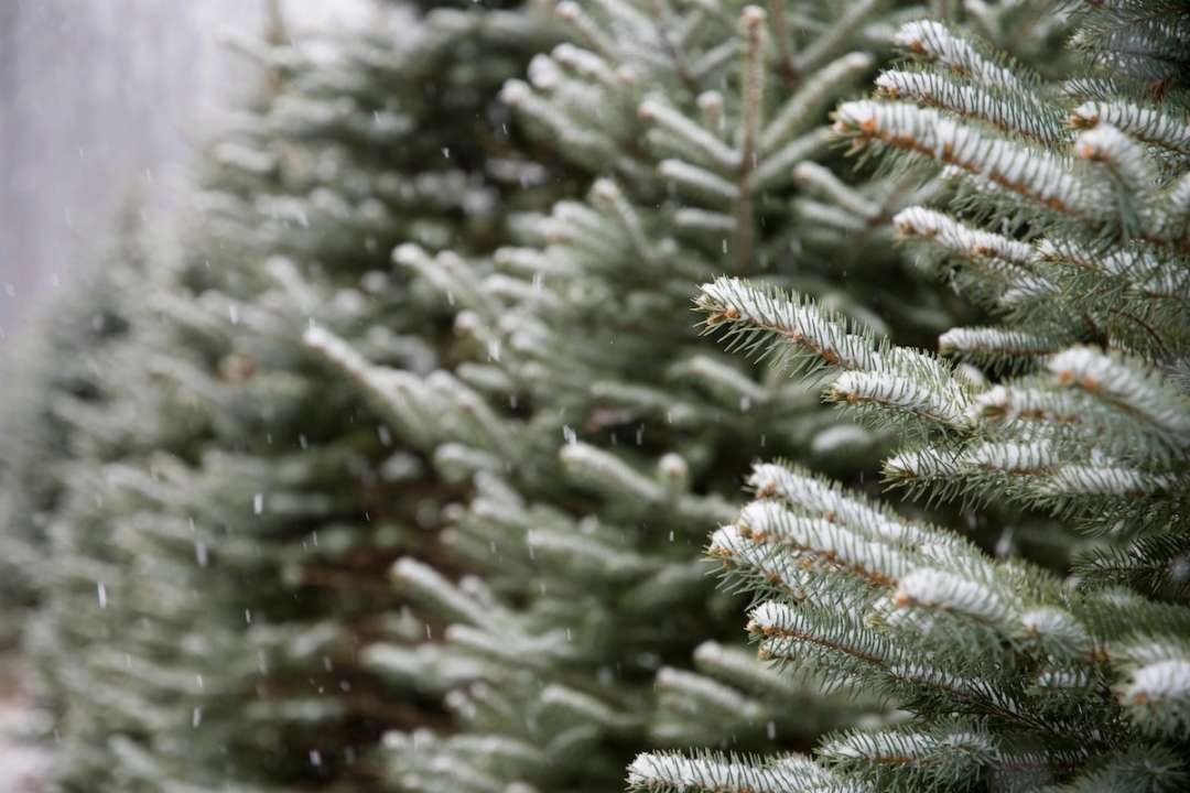 В пятницу в Украине будет теплая погода/Фото: Рexels В пятницу в Украине будет теплая погода/Фото: Рexels