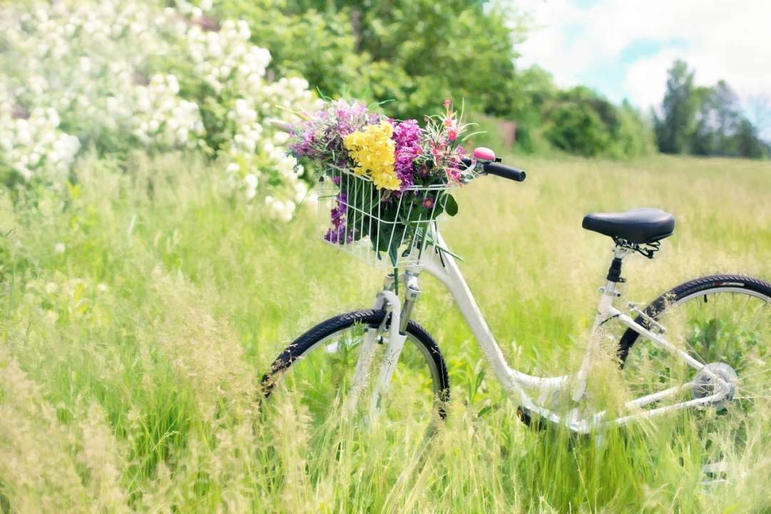 Прогноз погоди в Україні на 15 червня 2022/Фото: Рixabay