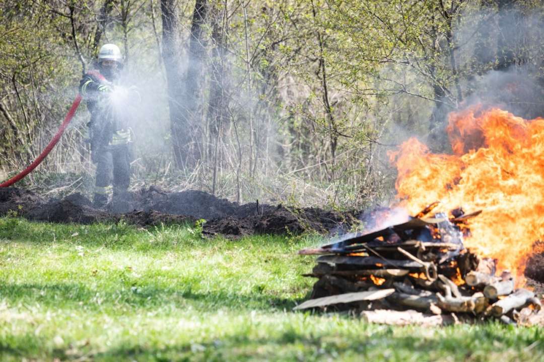 На період дії воєнного стану населенню заборонено відвідування лісів у Києві, а також в’їзд до них транспортних засобів та іншої техніки На період дії воєнного стану населенню заборонено відвідування лісів у Києві, а також в’їзд до них транспортних засобів та іншої техніки