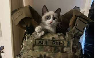 Котик поселился в экипировке одного из бойцов ЛСР. Фото: ЛСР легион свободы россии