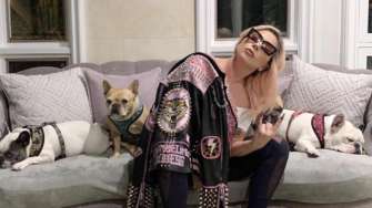 Фото: Instagram/Автор — ladygaga У Леди Гаги украли собак и подстрелили ее помощника