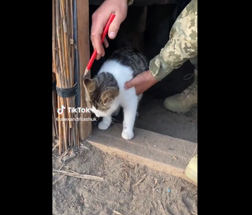 Олександр Ляшук