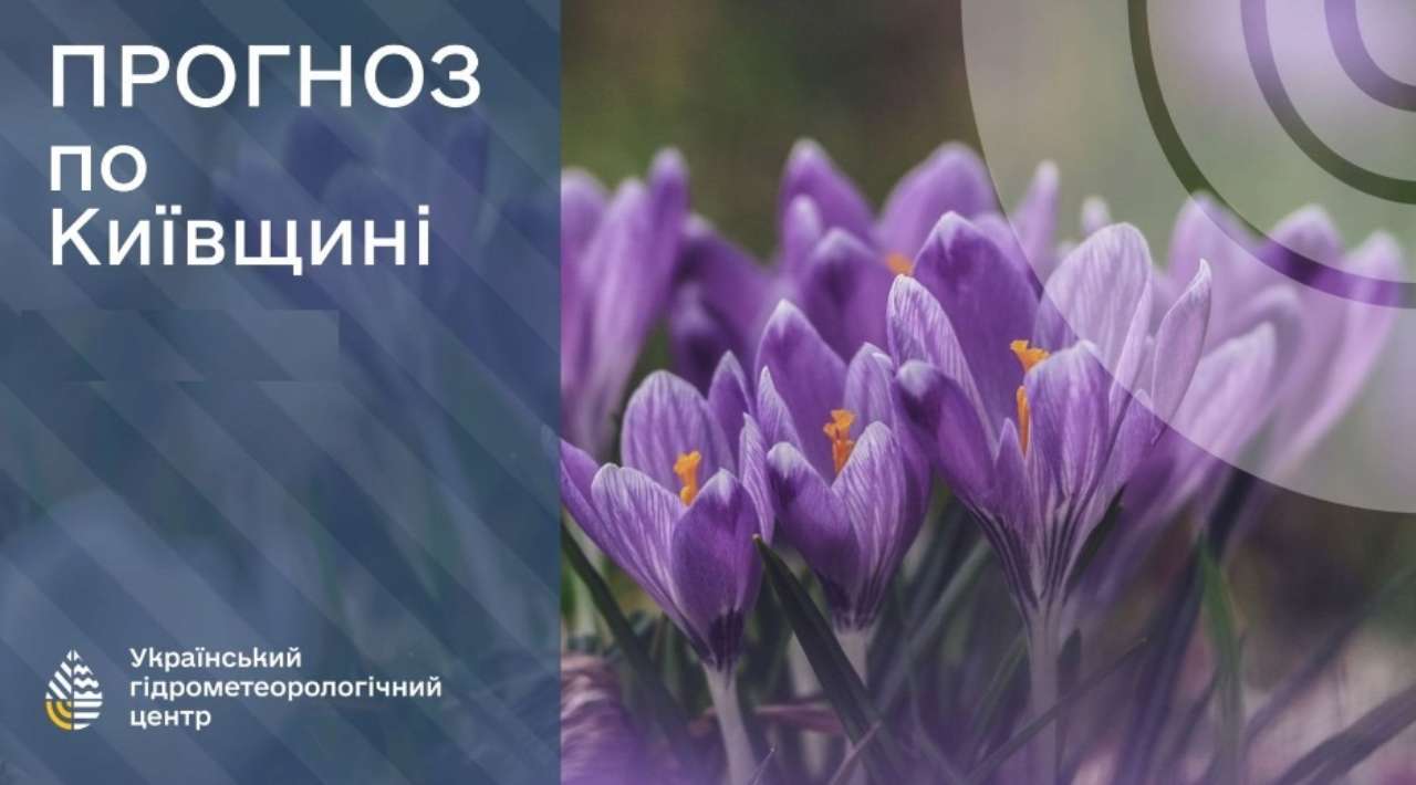 В Киевской области в ближайшие сутки облачно с прояснениями, ожидается небольшой дождь, сообщает Укргидрометцентр