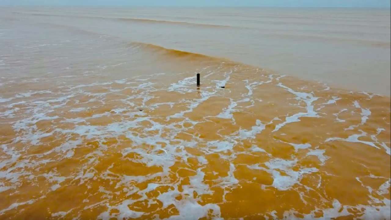 Необычное природное явление: в Евпатории море стало цвета солнца. Видео
