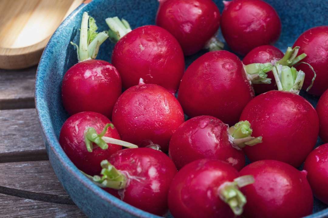 кому не можна їсти редис