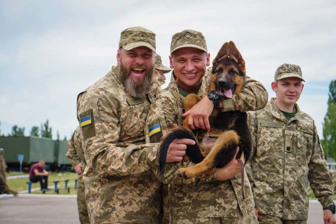 Прем'єра серіалу про курсантів "Прикордонники" / Фото: ДПСУ Нове патріотичне кіно: на телебачення відбулася прем'єра серіалу про курсантів "Прикордонники"