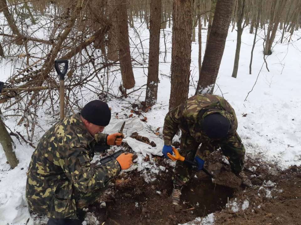 поиски