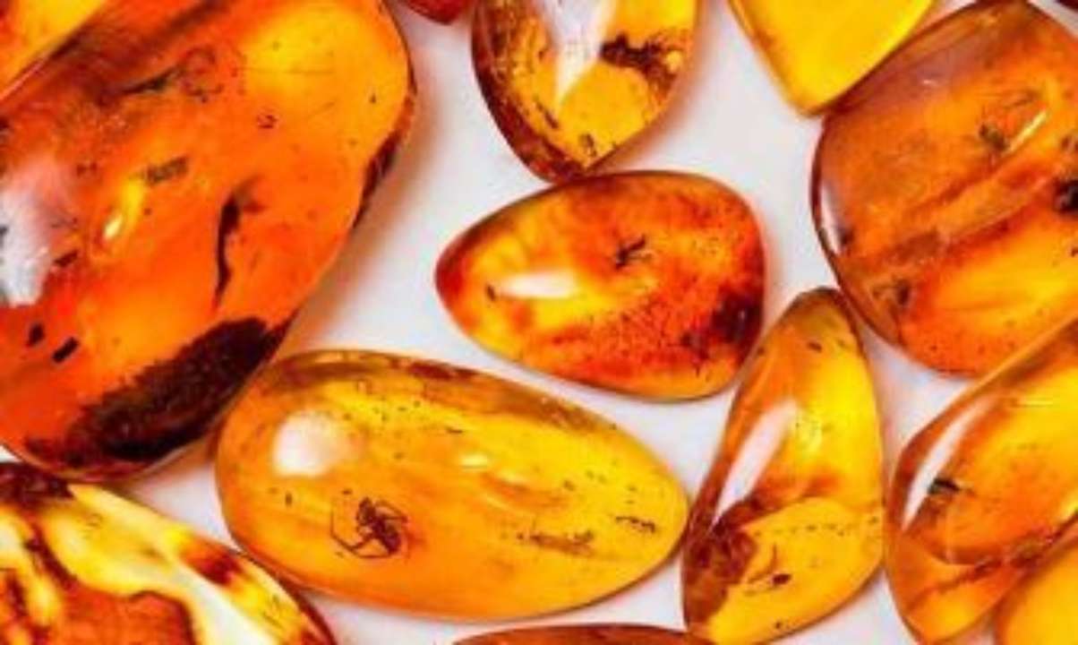 Онлайн-аукционы по продаже янтаря проведет Государственное хранилище драгоценных металлов и драгоценных камней Украины
