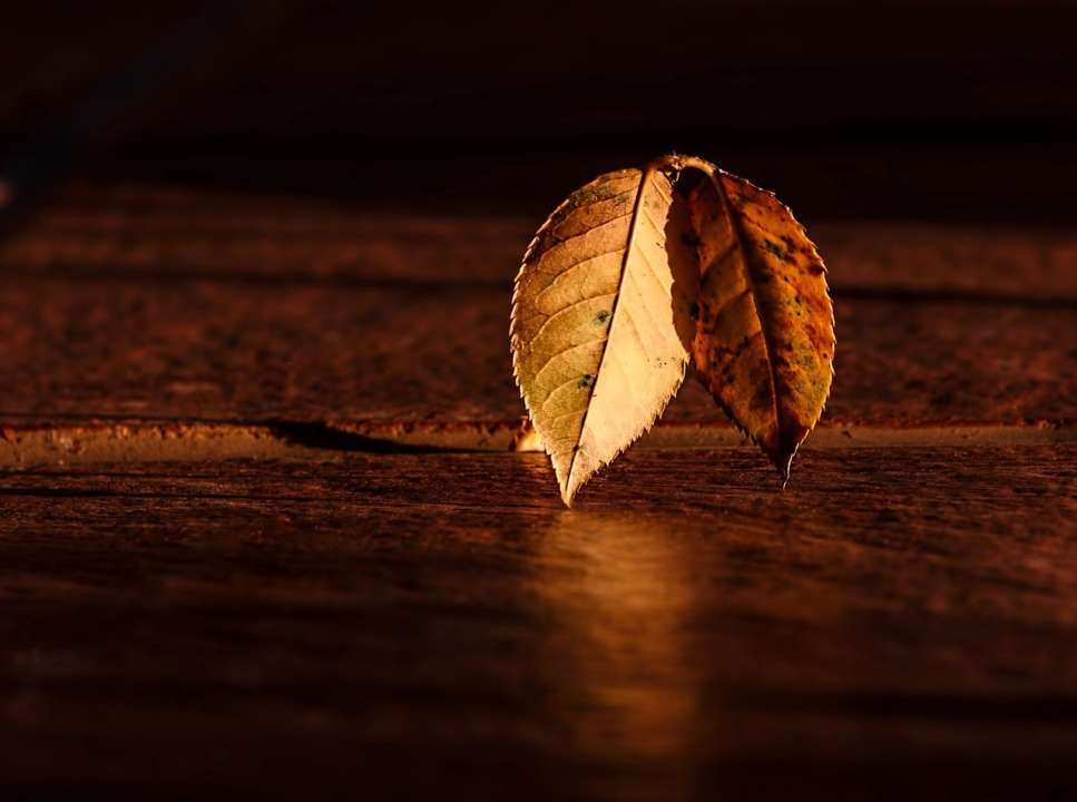 Прогноз погоды на 5 октября / Фото: Pixabay В Украине постепенно холодает: прогноз погоды на 5 октября