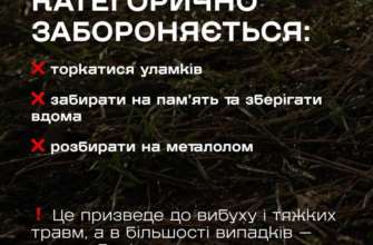 Фото: t.me/dsns_telegram Фото: t.me/dsns_telegram