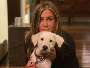 Дженнифер Энистон не могла сниматься из-за войны в Украине/Фото: instagram.com/jenniferaniston Дженнифер Энистон не могла сниматься из-за войны в Украине