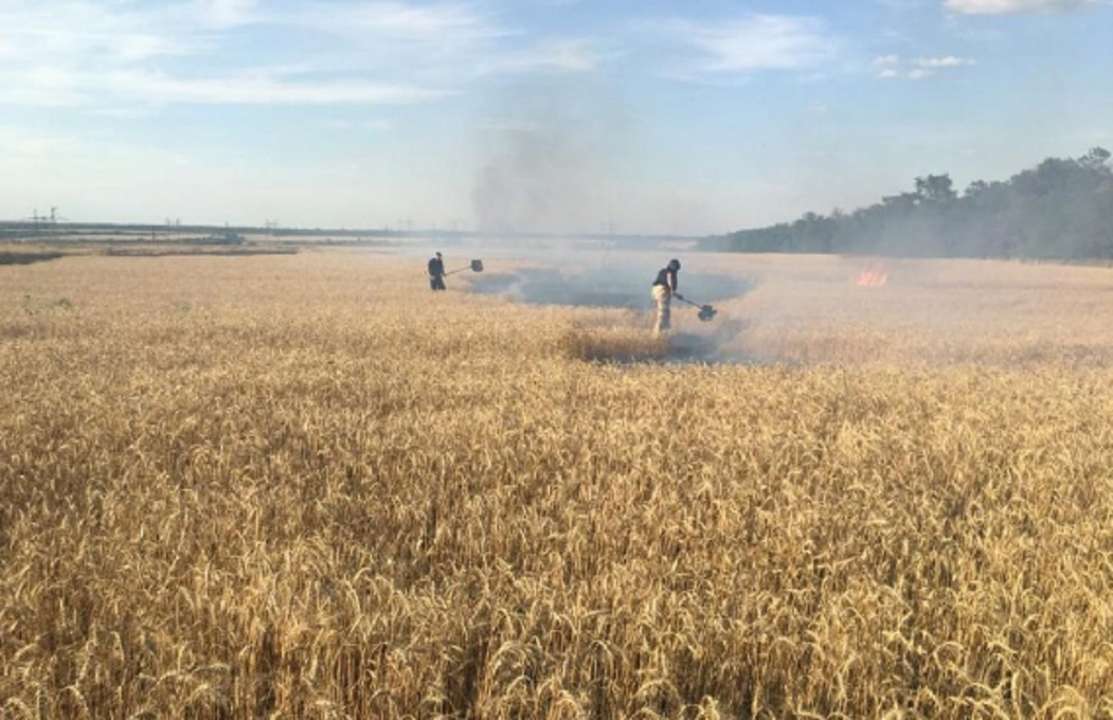 В Донецкой области после обстрелов россиян загорелось поле/Фото: ГСЧС В Донецкой области после обстрелов россиян загорелось поле