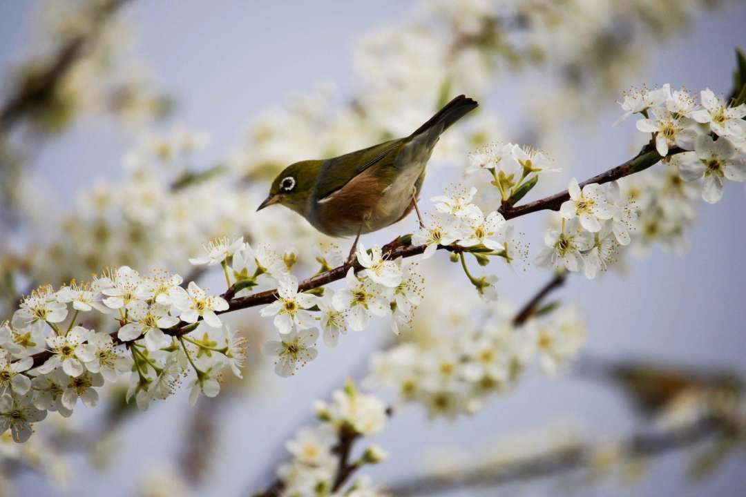 Прогноз погоди в Україні 12 березня 2023 року. Фото: Unsplash погода по регіонам в Україні на 12 березня