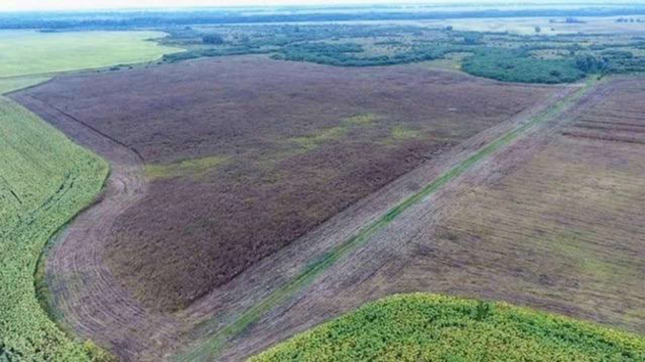 Прокуратура повертає державі землі, на яких розташовані пам’ятки археології