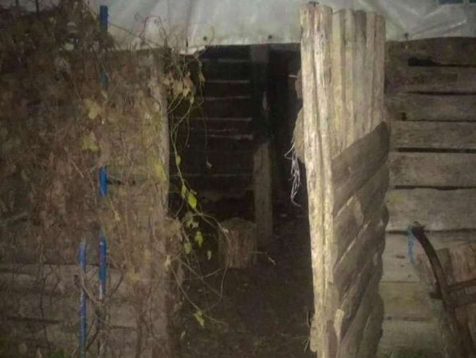 pol.kyivregion В одному із сіл Київської області 4-річний хлопчик відрубав палець 2-річній сестрі