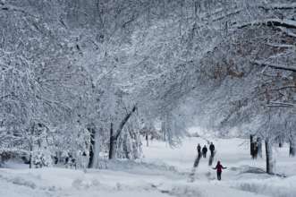 Погода на 25 января/Фото: Getty Images Погода