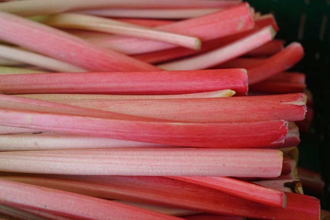 Рецепт кваса из ревеня / Фото: Pixabay Как приготовить квас из ревеня: весенний рецепт