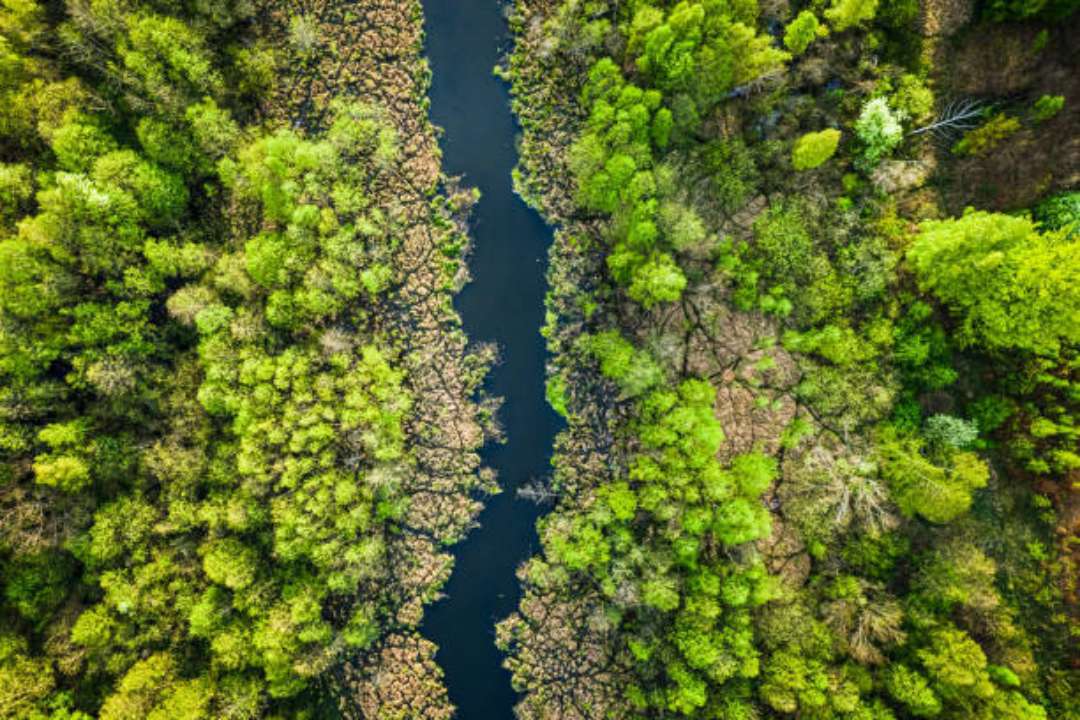 Фото з https://unsplash.com/ 6 жовтня — Всесвітній день середовища проживання