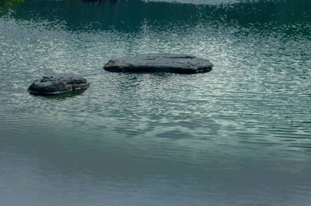 Фото з https://www.pexels.com/ МВС України показали роботу водолазів ДСНС