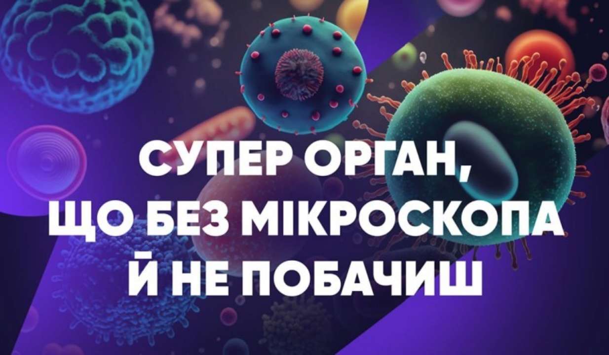 Какие функции микробиому наиболее важны? Как поддерживать здоровье микробиому? Какие функции микробиому наиболее важны? Как поддерживать здоровье микробиому?
