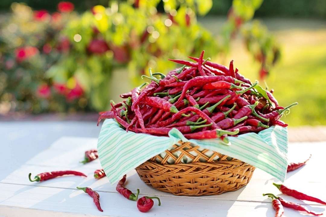 Перец чили снижает риск сердечно-сосудистых заболеваний — ученые