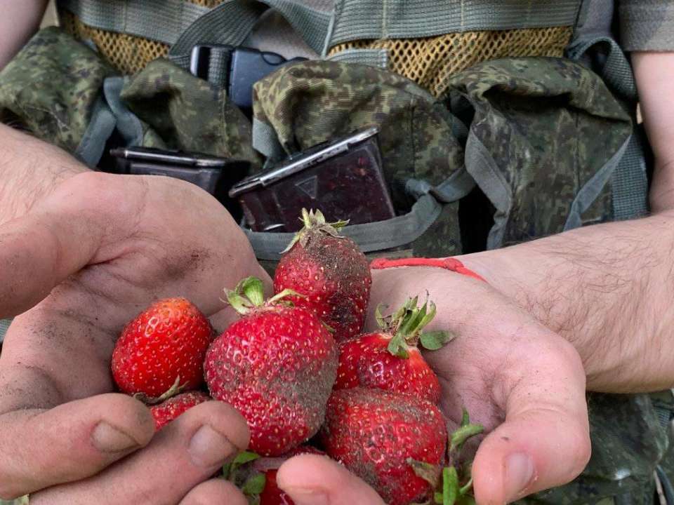 Военный с клубникой