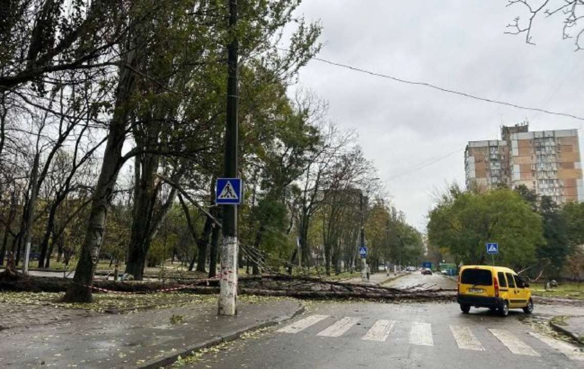 В Одессе непогода повалила деревья