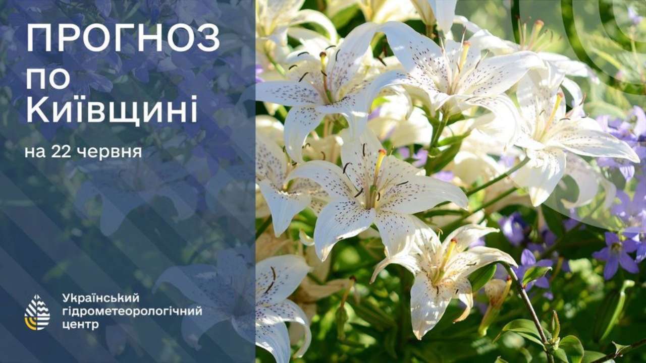 Температура воздуха днем ​​поднимется до 27-28°С