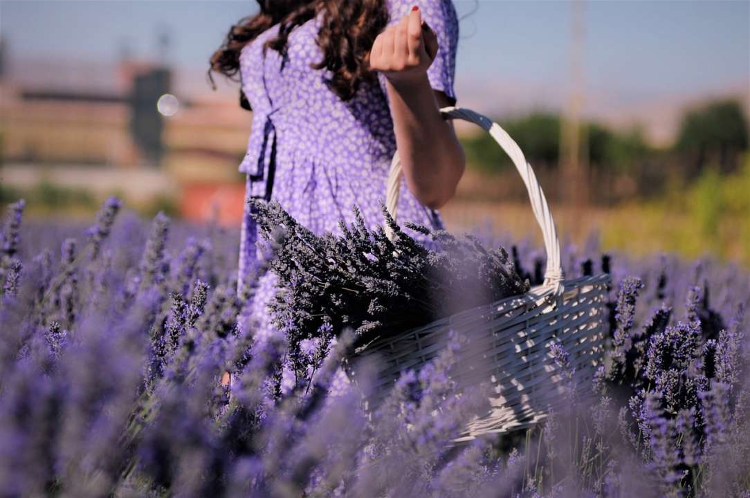 Хто святкує день ангела 6 червня/Фото: Рixabay