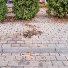 У Києві зламали Їжачка у тумані / Фото: Яніна Соколовська У Києві зламали Їжачка у тумані / Фото: Яніна Соколовська