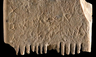 Ученые обнаружили древнейшее письменное предложение/Фото: Dafna Gazit, Israel Antiquities Authority Древний гребешок от вшей