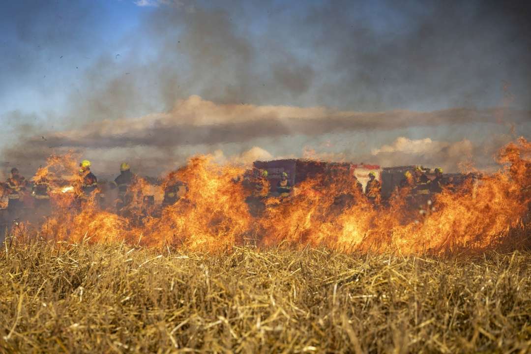 Посуха та аномальна спека сприяють збільшенню кількості пожеж. Фото: pixabay.com Через спеку в Україні зросла удвічі кількість пожеж в екосистемах