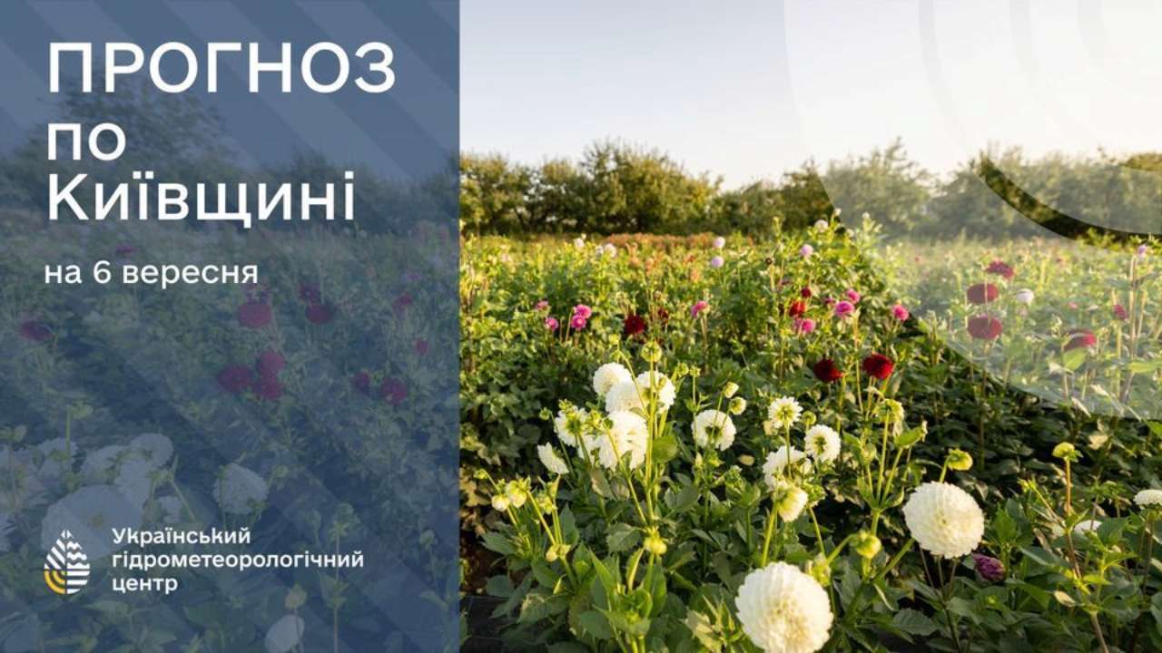 Днем в Киевской обл.: Небольшая облачность, без осадков. Ветер восточный, 5-10 м/с. Температура по области 23-28 °, в Киеве 26-28 °