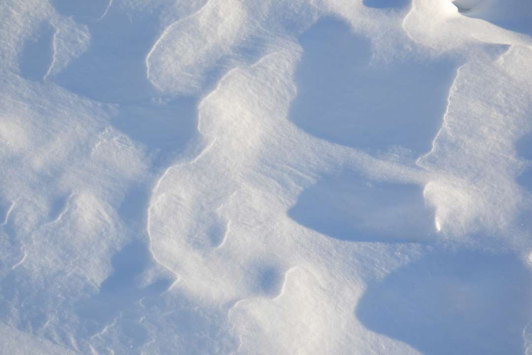 Сніг