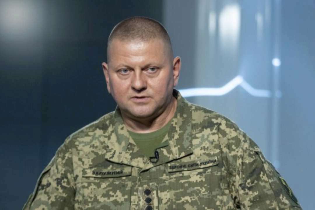 Залужний закликав не довіряти фейковим акаунтам під його ім'ям / Фото: Скриншот відео