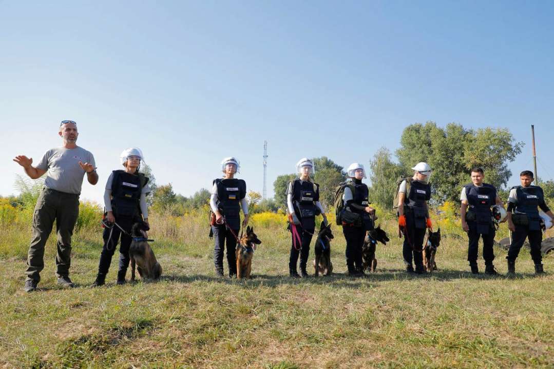 Для пошуку мін в Україні будуть використовувати спеціально навчених собак/Фото: National_Mine_Action_Authority Для пошуку мін в Україні будуть використовувати спеціально навчених собак