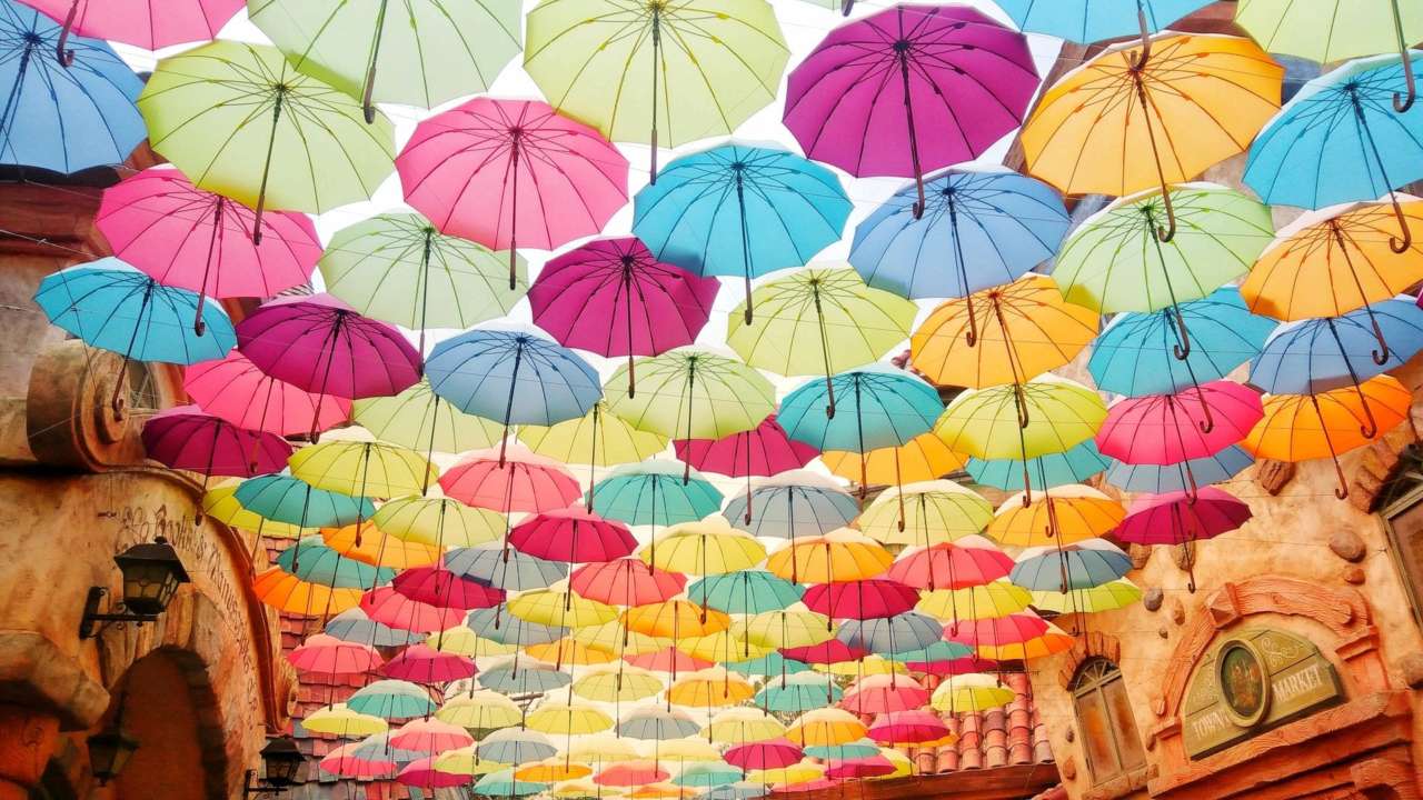 Чому не можна відкривати парасольку в будинку або дарувати. Фото: Unsplash/Автор- Helen Cheng Прикмети про парасольки