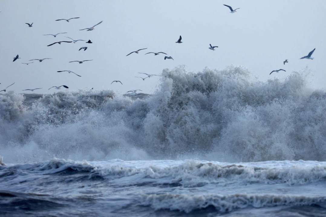 Из-за российского террора меняется состав воды Черного моря/Фото: Getty Images Из-за российского террора меняется состав воды Черного моря/Фото: Getty Images