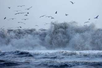 Из-за российского террора меняется состав воды Черного моря/Фото: Getty Images Из-за российского террора меняется состав воды Черного моря/Фото: Getty Images