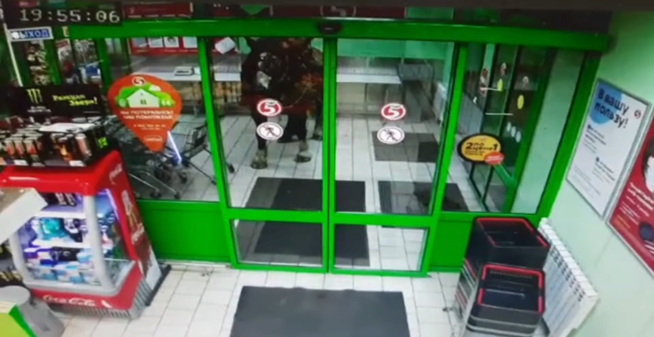 Кінь