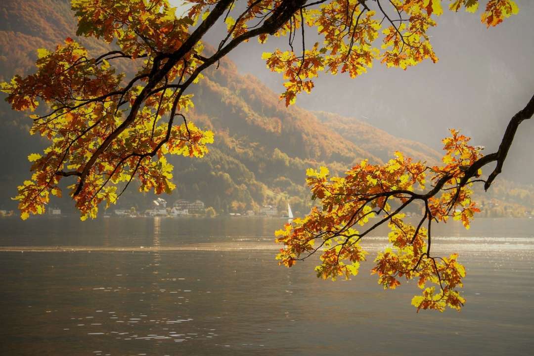 В Украине в ближайшее время похолодает / Фото: Pixabay В ближайшее время в Украине похолодает