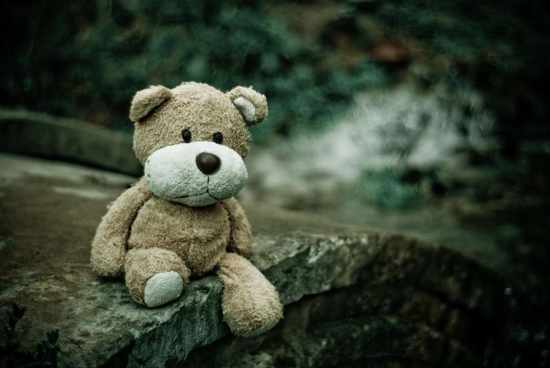 Как почистить мягкие игрушки и удалить микробы и микробы