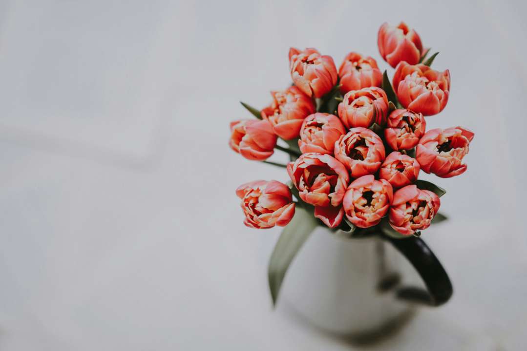 Кто празднует день ангела 26 февраля/Фото: Unsplash Кто празднует день ангела 26 февраля/Фото: Unsplash