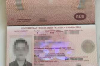 У керівниці Миколаївської обласної МСЕК знайшли понад $450 тис/Фото: СБУ У керівниці Миколаївської обласної МСЕК знайшли понад $450 тис/Фото: СБУ